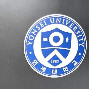 seul (6)